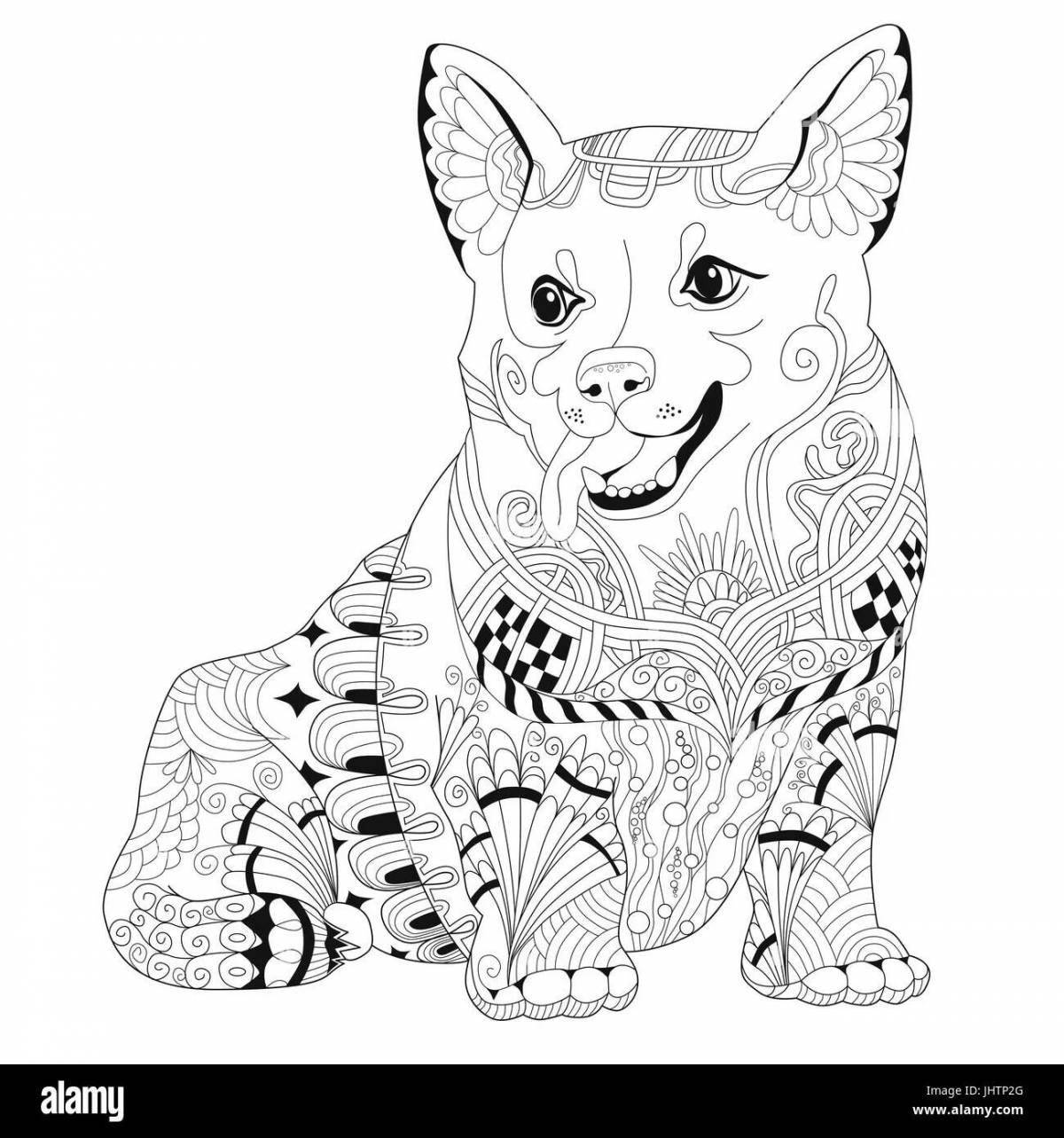 Great anti-stress corgi coloring book