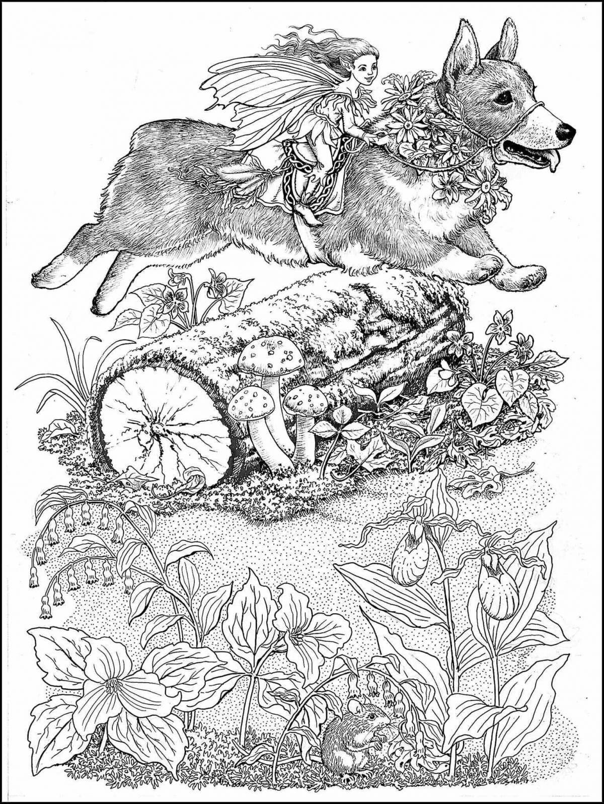 Photo Coloring book gorgeous corgi antistress