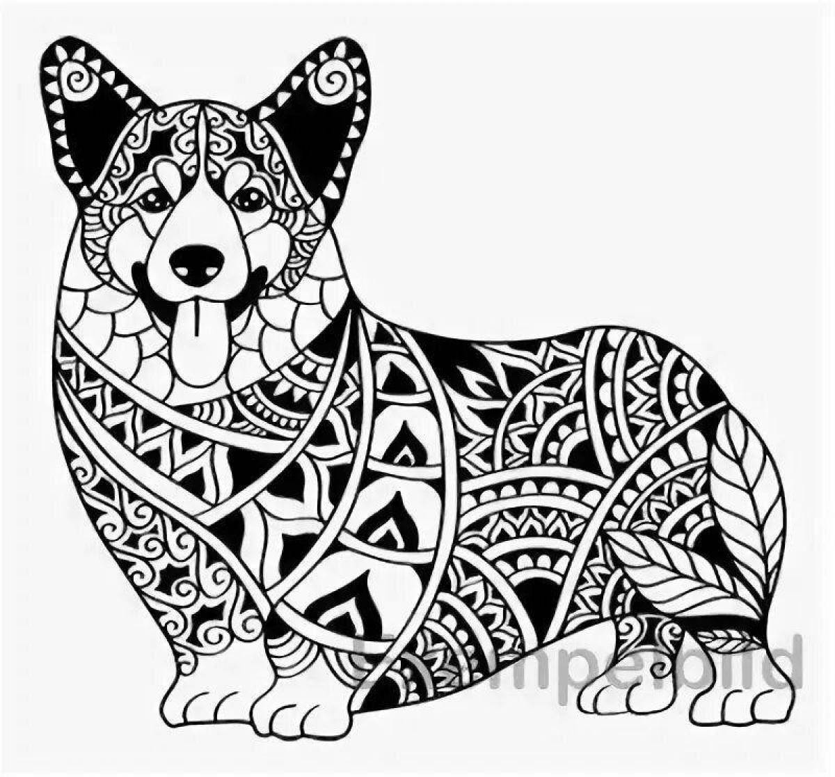 Photo Coloring book charming corgi antistress