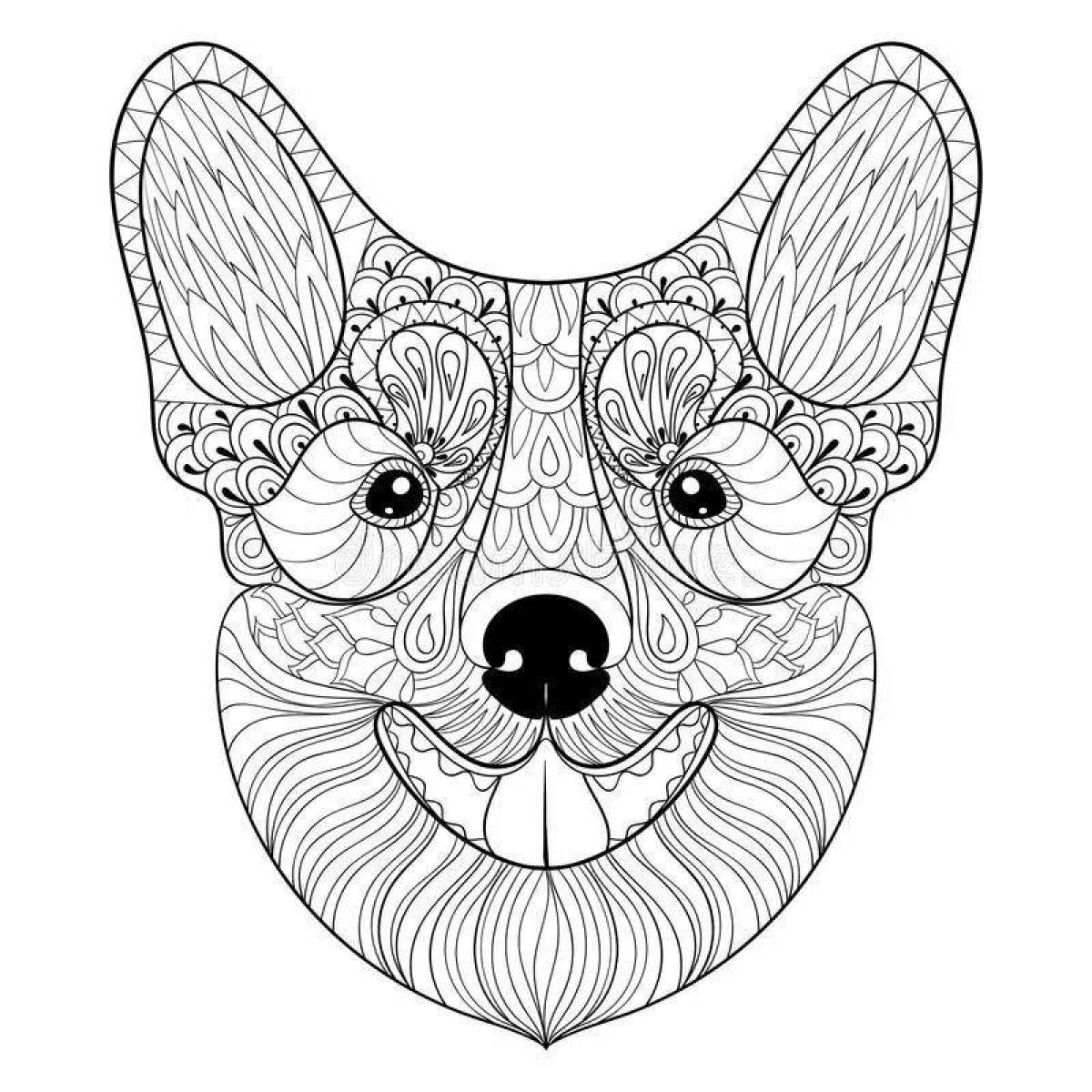 Photo Coloring book blissful corgi antistress