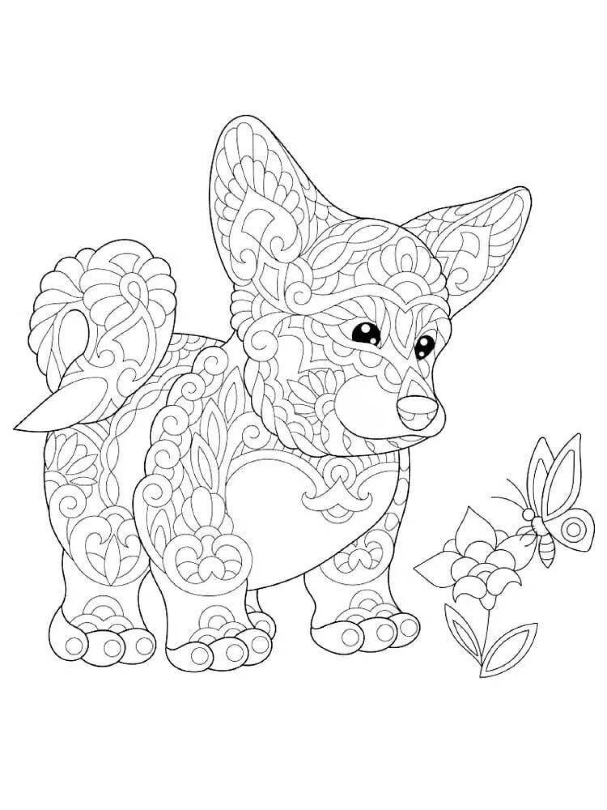 Photo Soulful anti-stress corgi coloring book