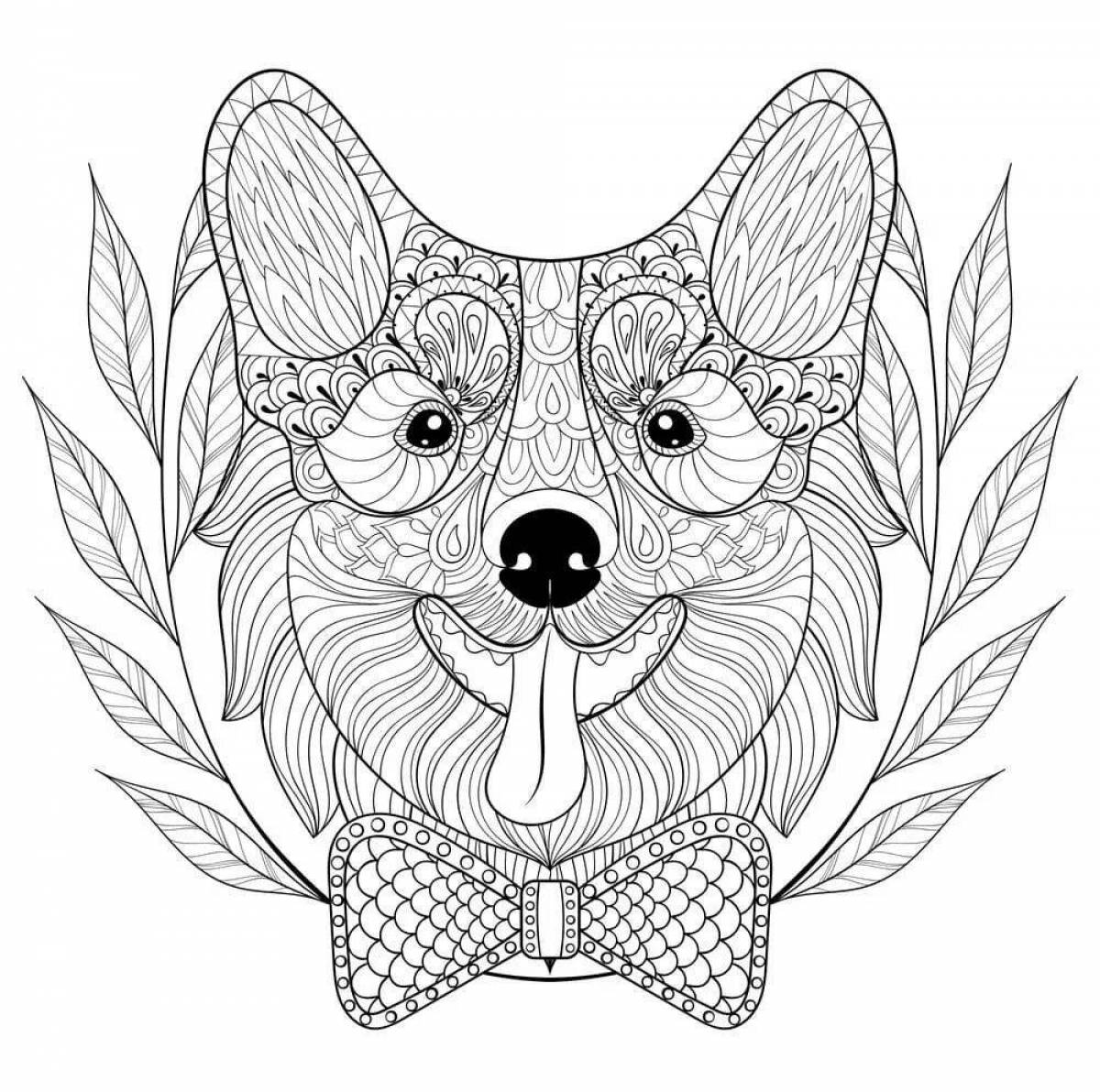 Photo Corgi inspirational anti-stress coloring book