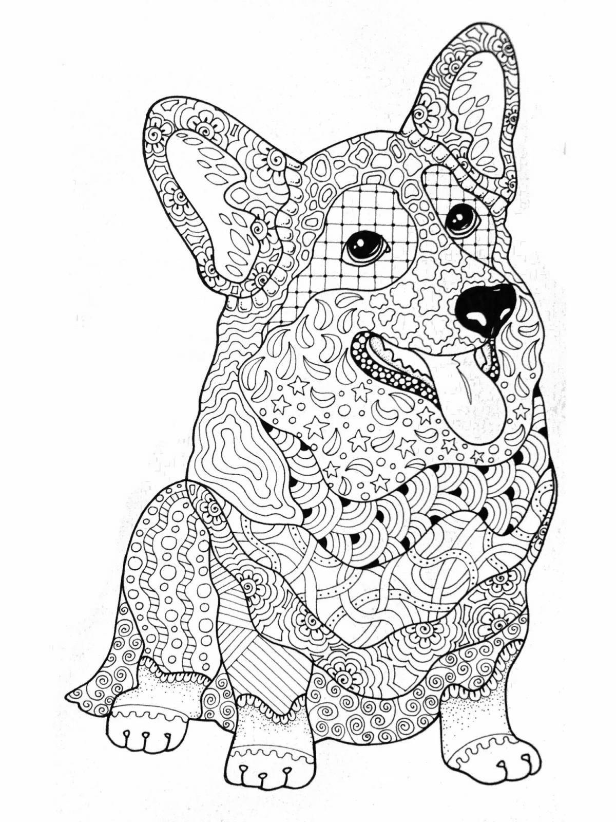 Fascinating anti-stress corgi coloring book