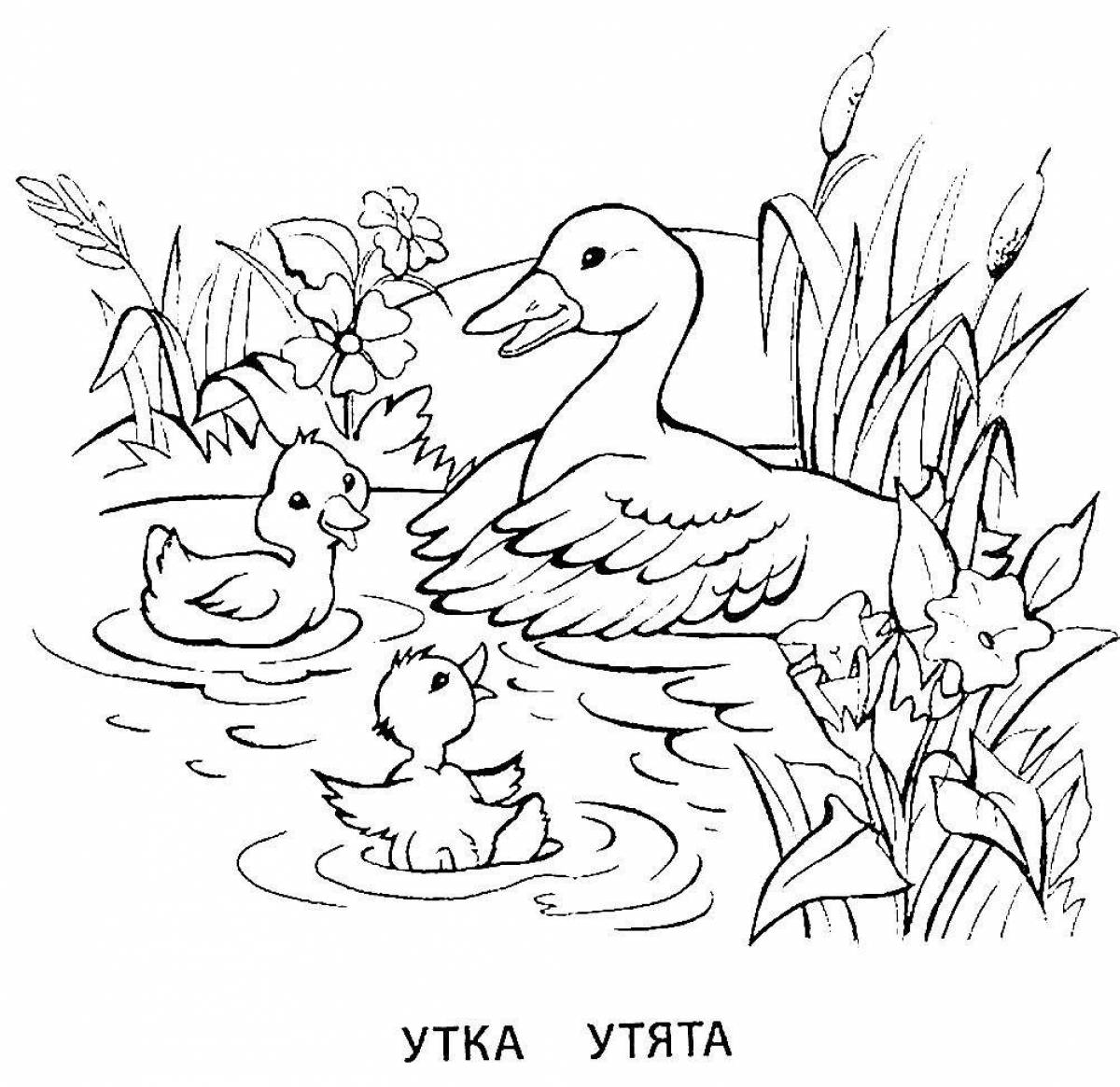 Joyful duck with ducklings