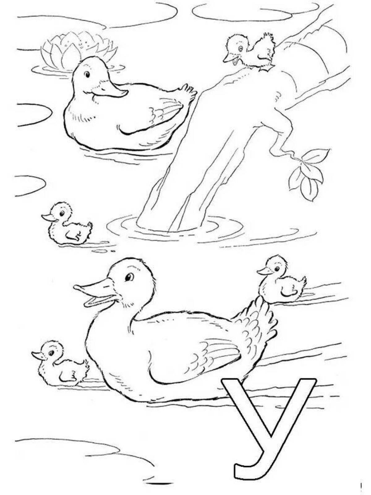 Snuggly duck с утятами