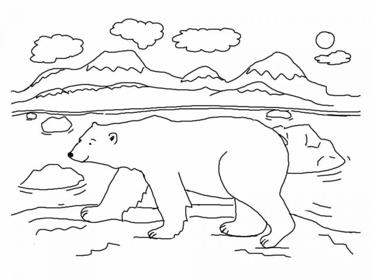 Раскраска величественный медведь на севере