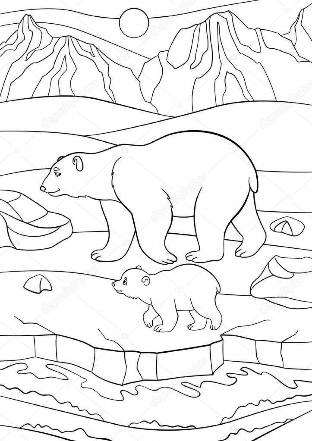 Coloring book playful bear in the north