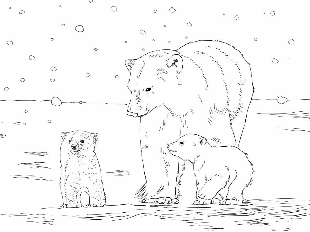 Cute bear cub in the north coloring book