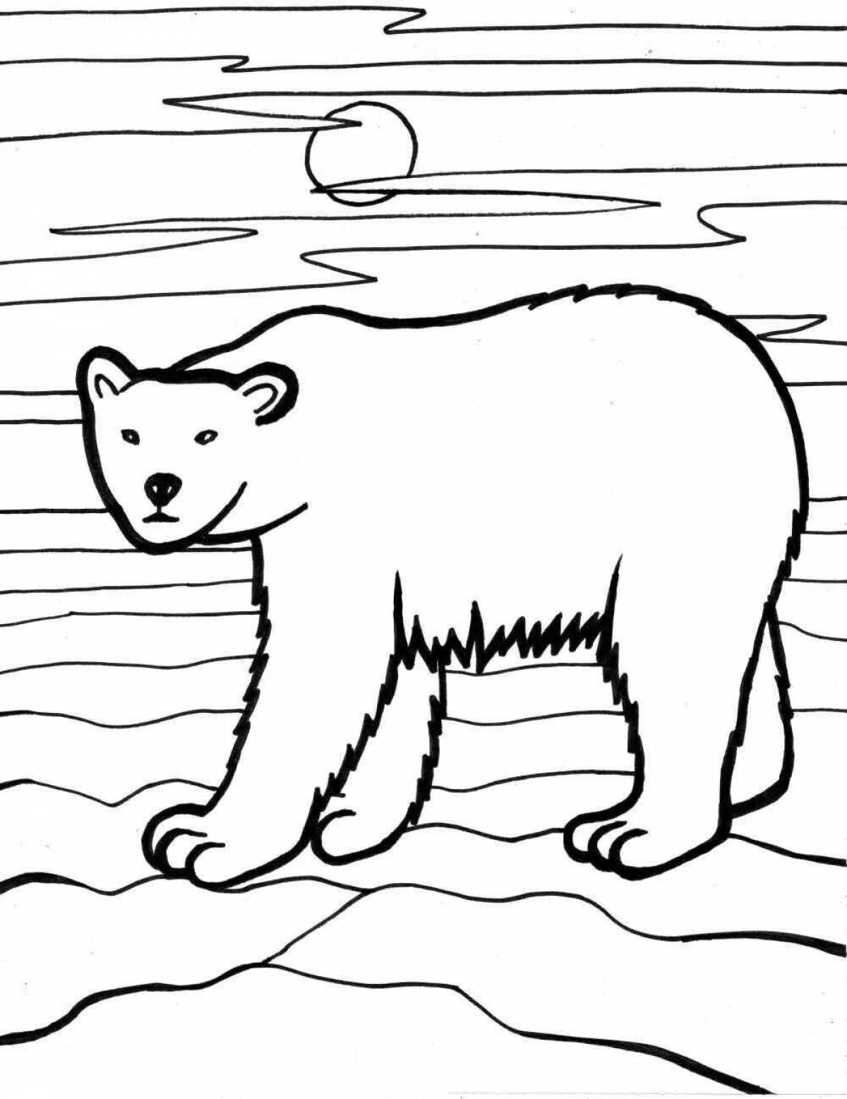 Colorful bear in the north coloring book