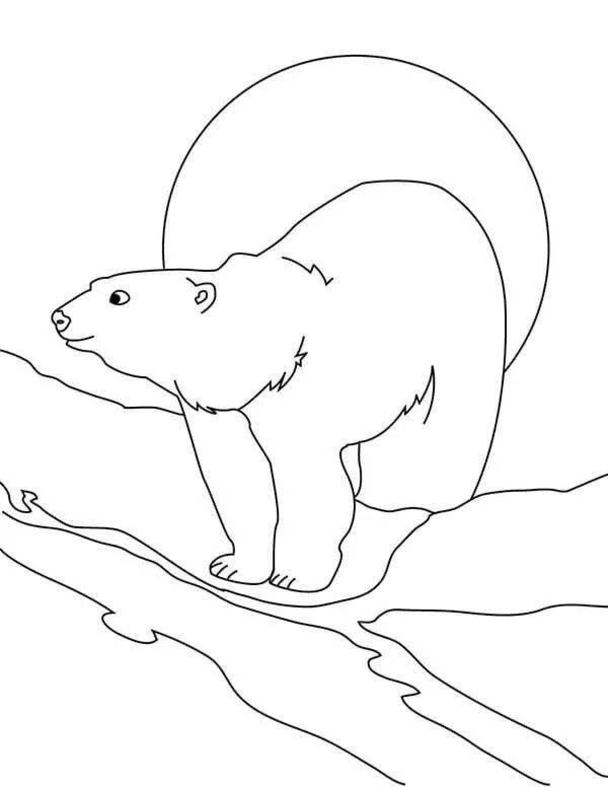 Раскраска уютный медвежонок на севере