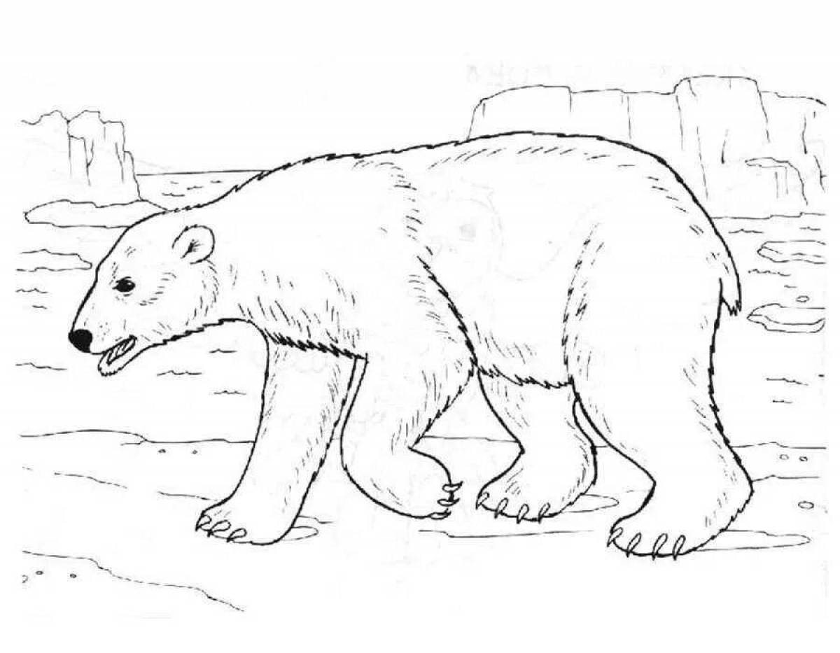 Coloring page funny bear cub in the north