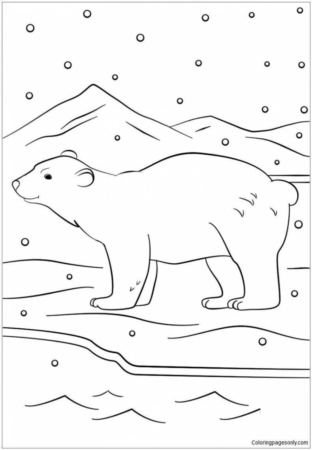Coloring book shiny bear in the north