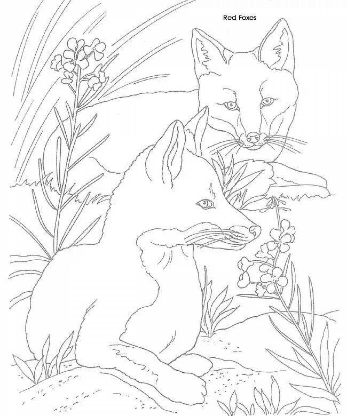 Раскраска снаг лисица с детенышами