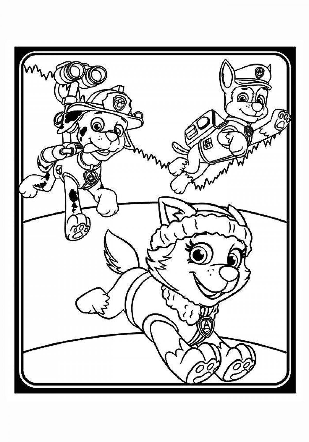 Live racer and sky coloring