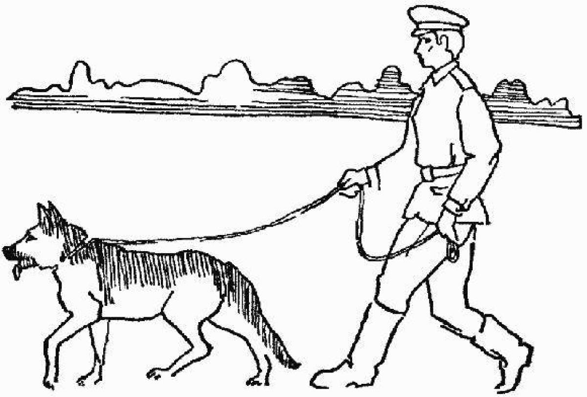 Раскраска величественный солдат с собакой