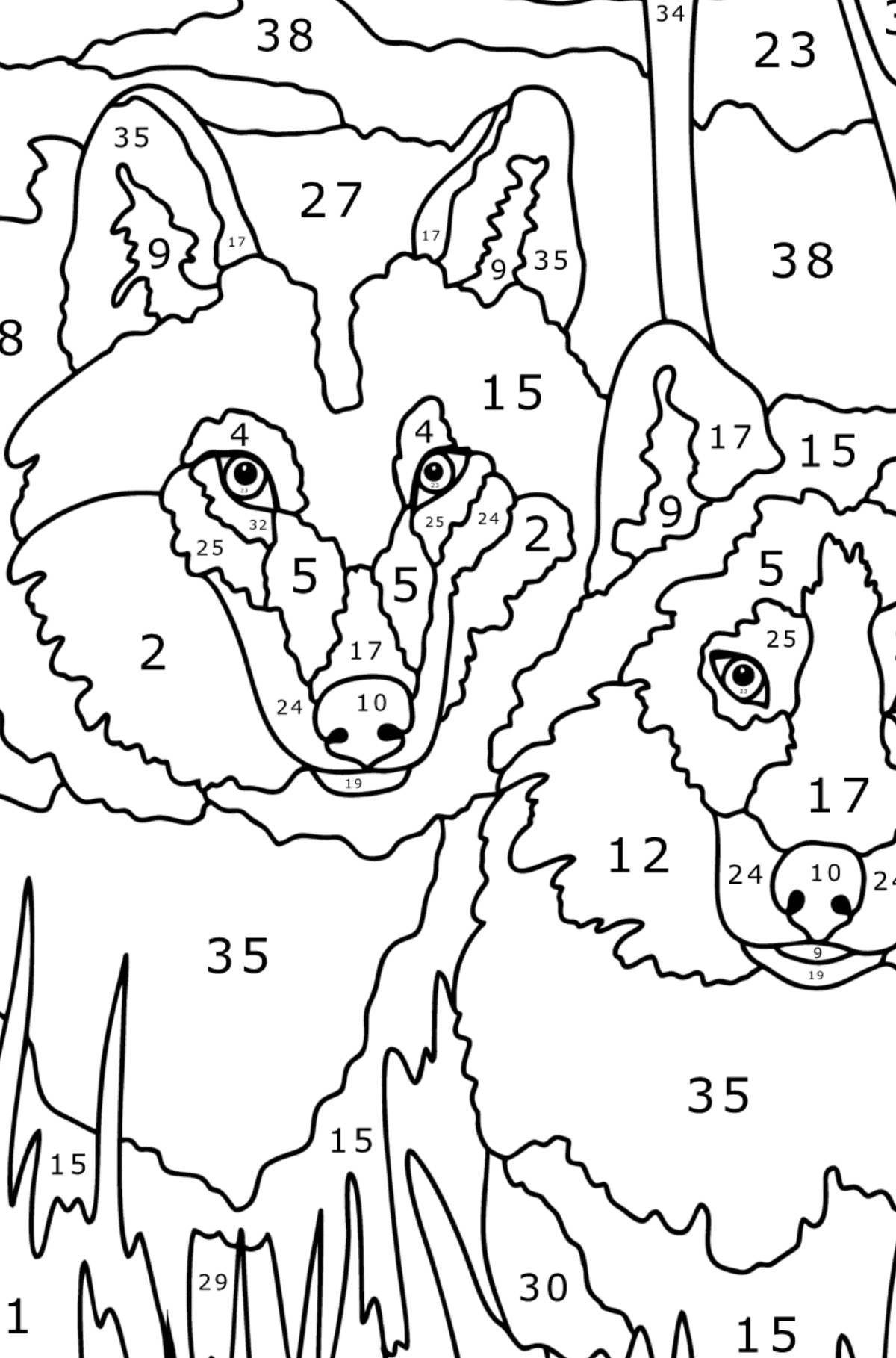 Great wolf coloring by numbers