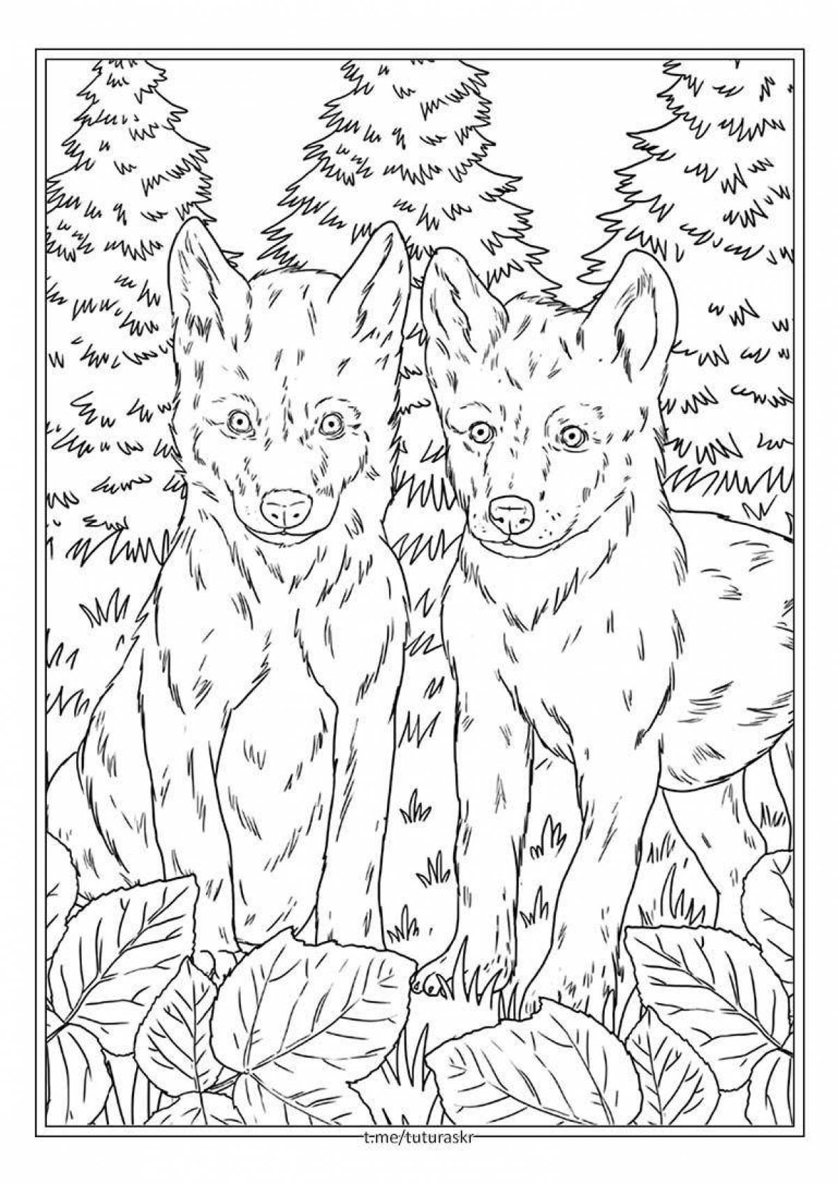 Luxurious wolf coloring by numbers