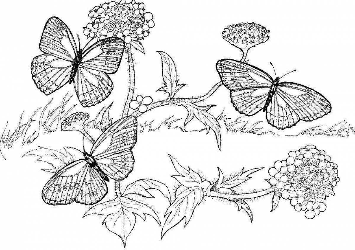 Изысканная раскраска цветы и бабочки