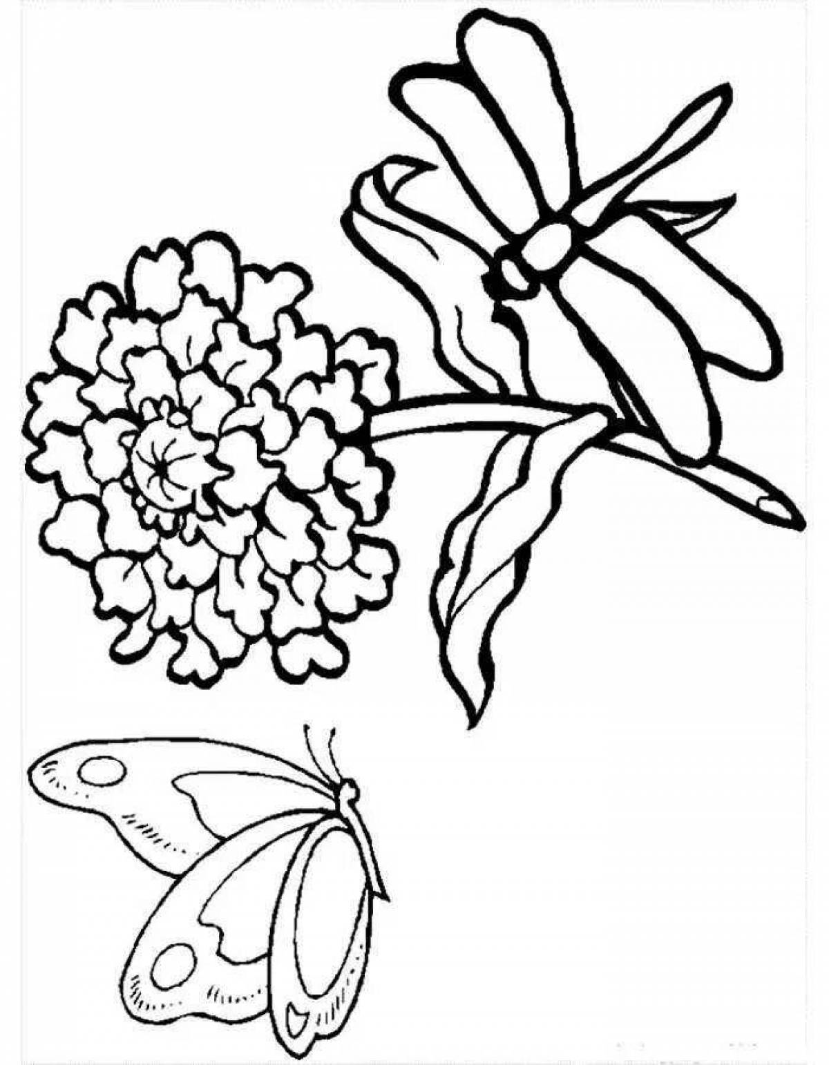 Violent coloring of flowers and butterflies