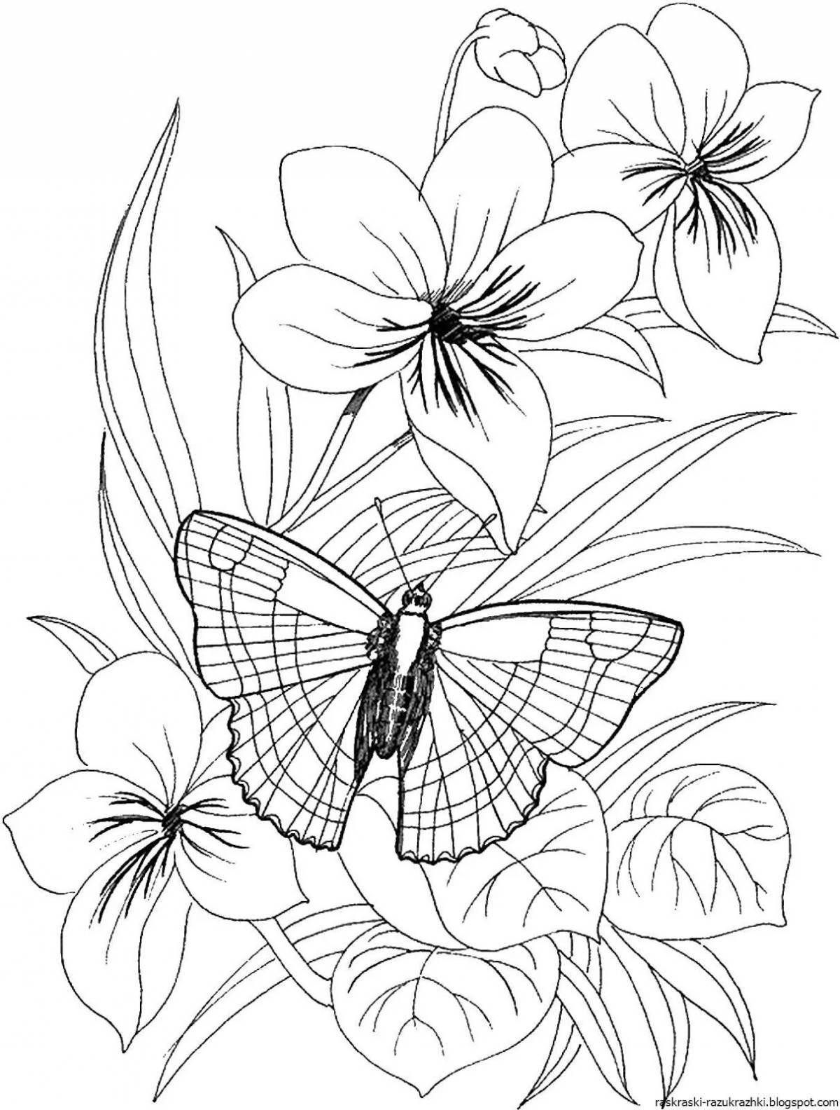 Величественные раскраски цветы и бабочки