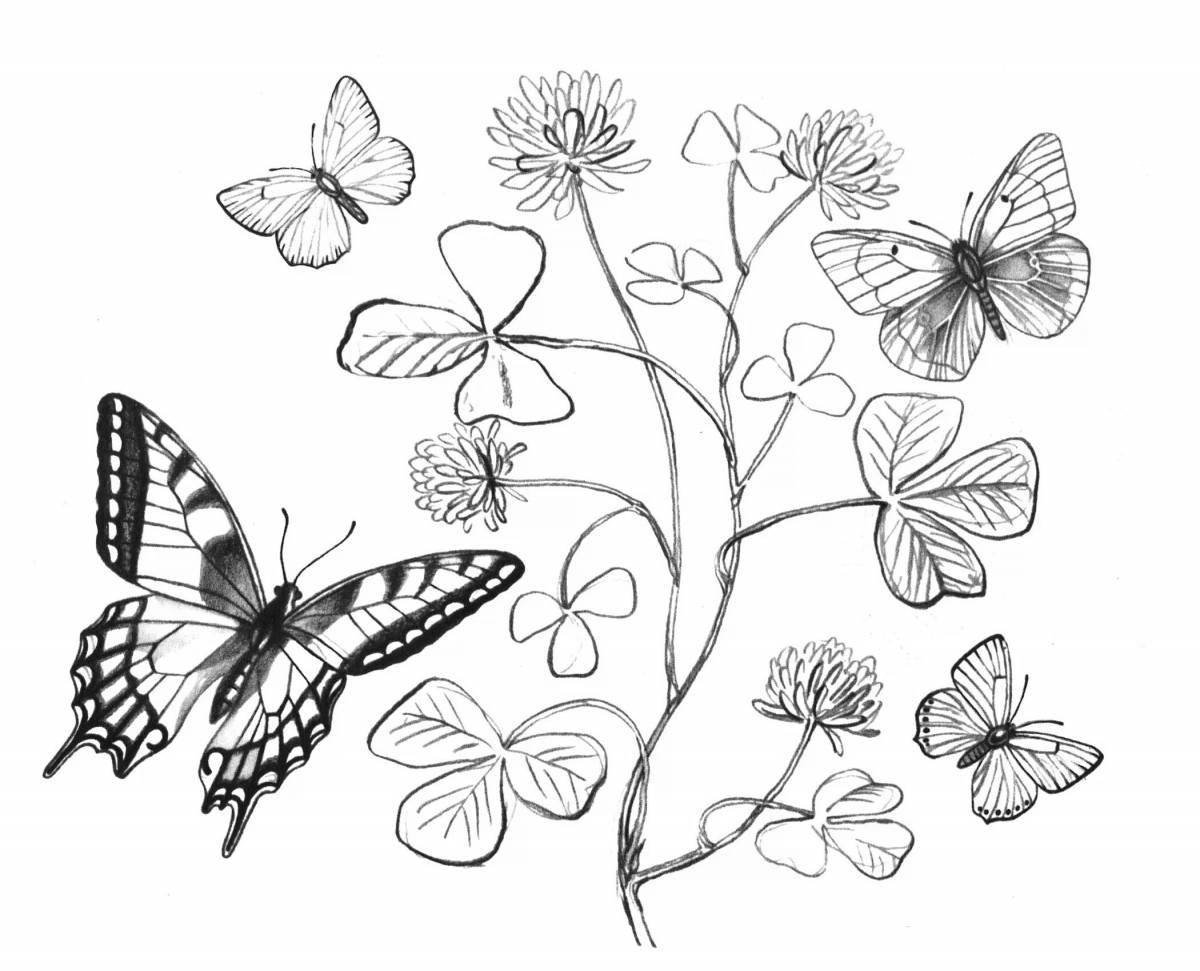 Чудесная раскраска цветы и бабочки