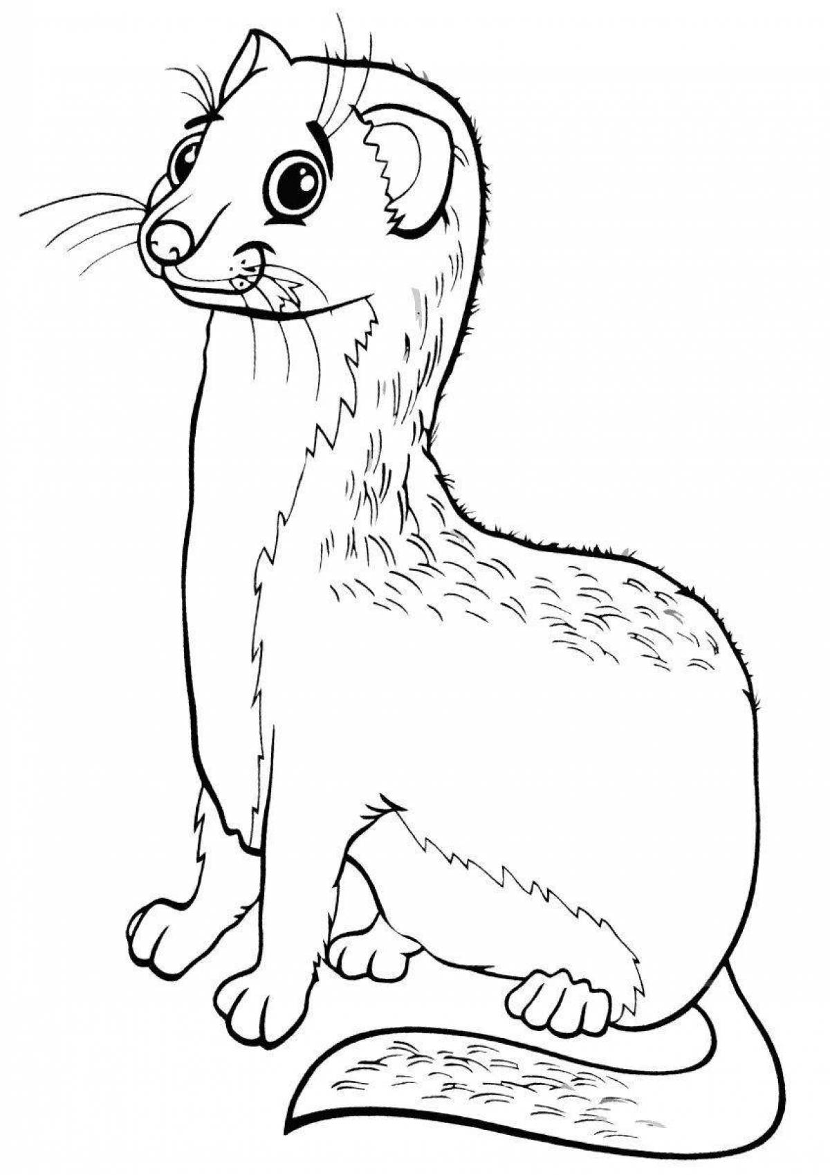 Cute ferret coloring pages for kids