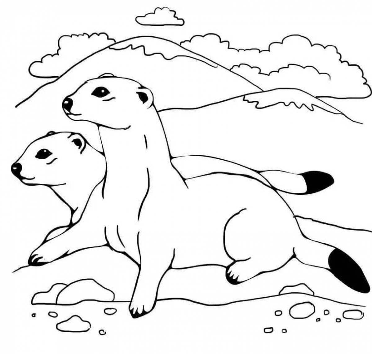 Playful ferret coloring page for kids