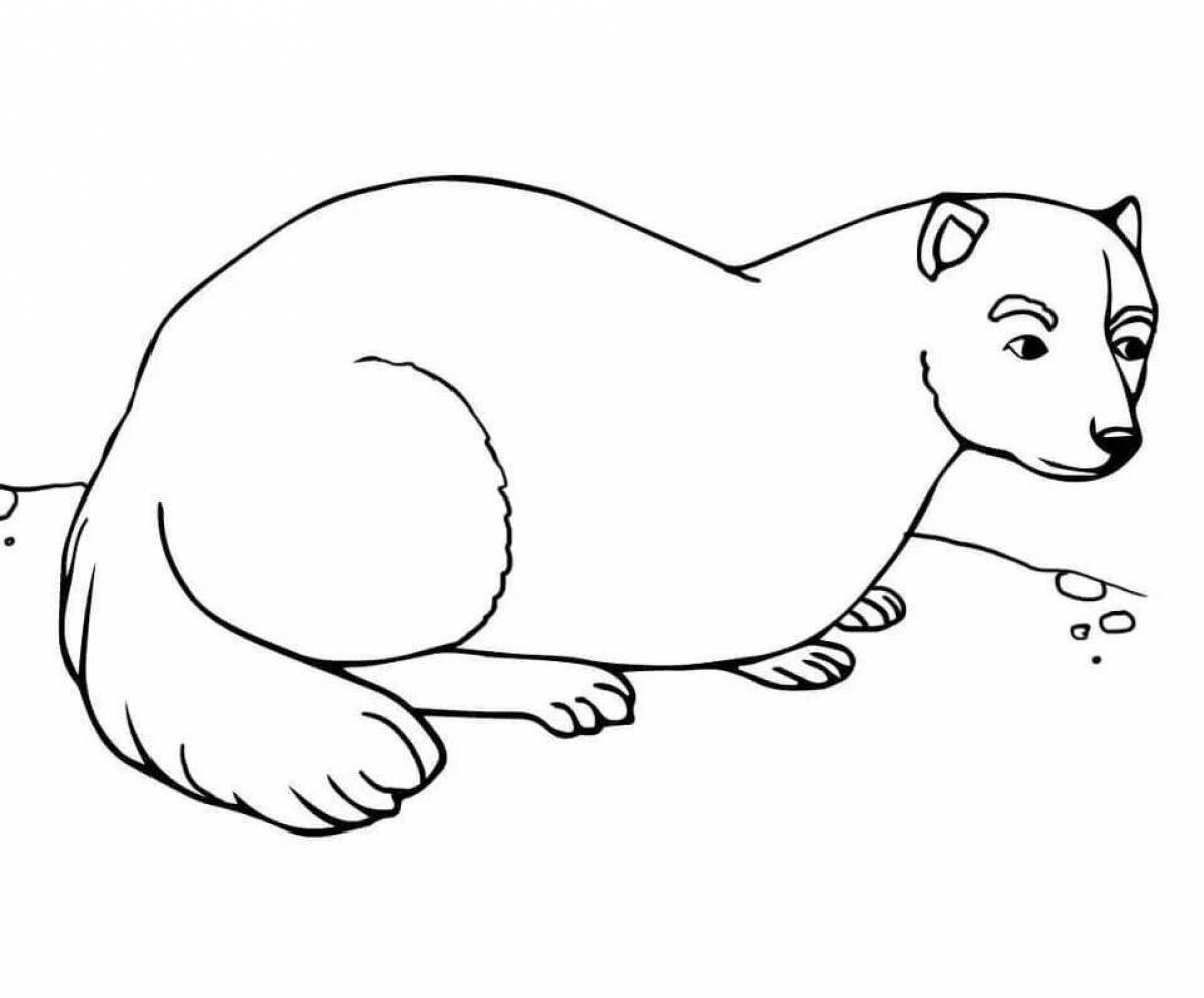 Children's coloring book ferret