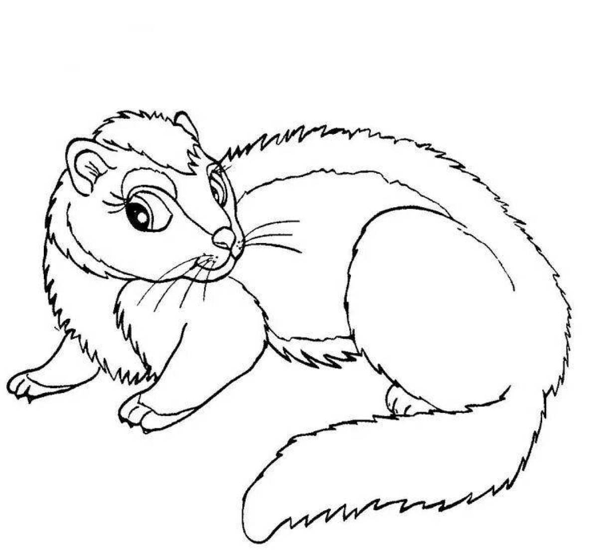 Fancy ferret coloring for kids