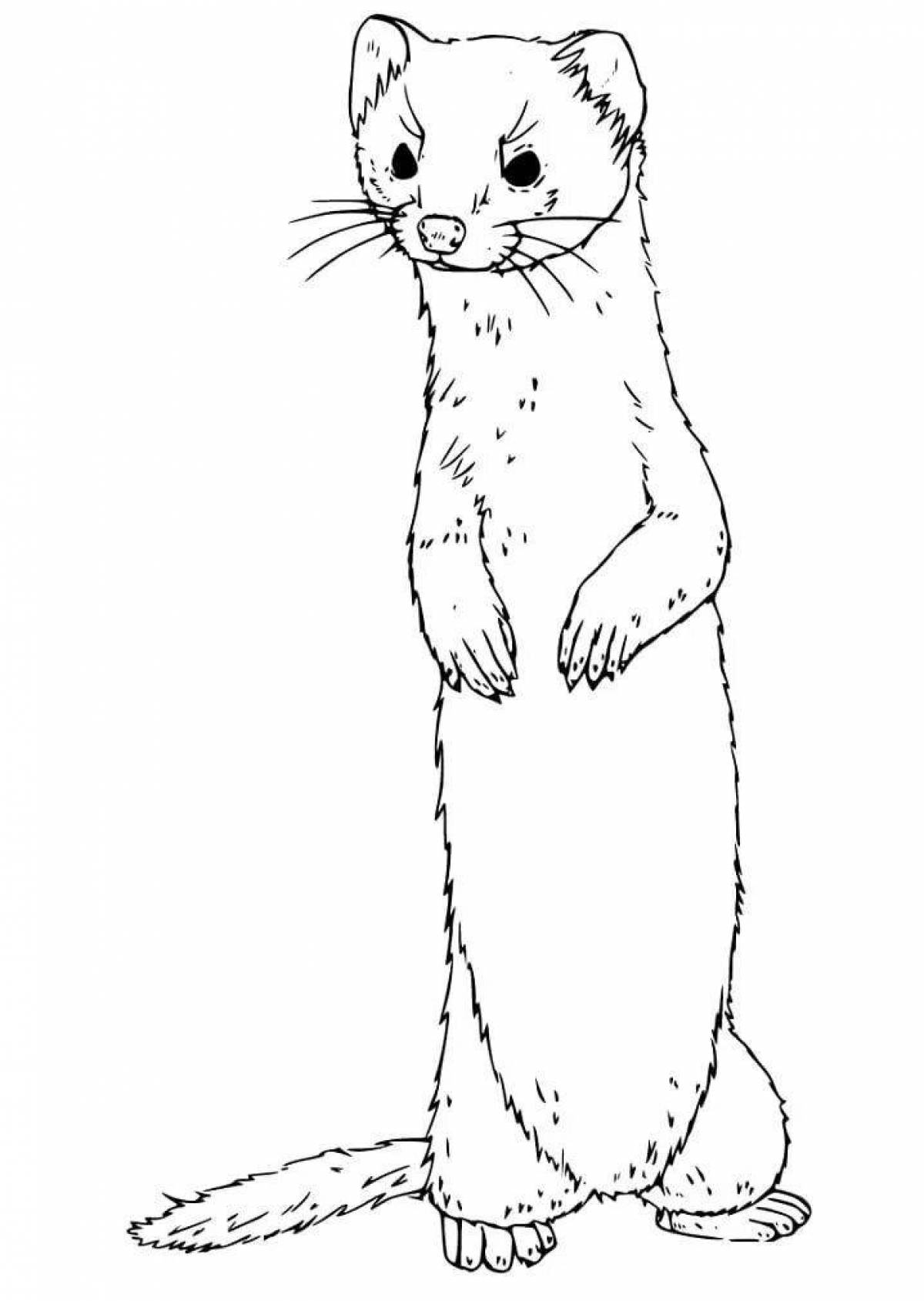 Adorable ferrets coloring pages for kids
