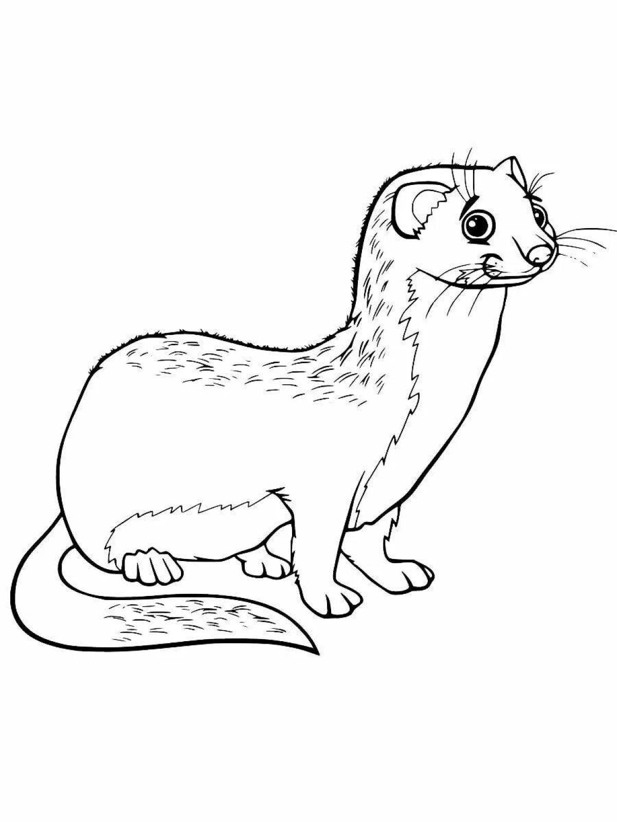 Adorable ferret coloring page for kids