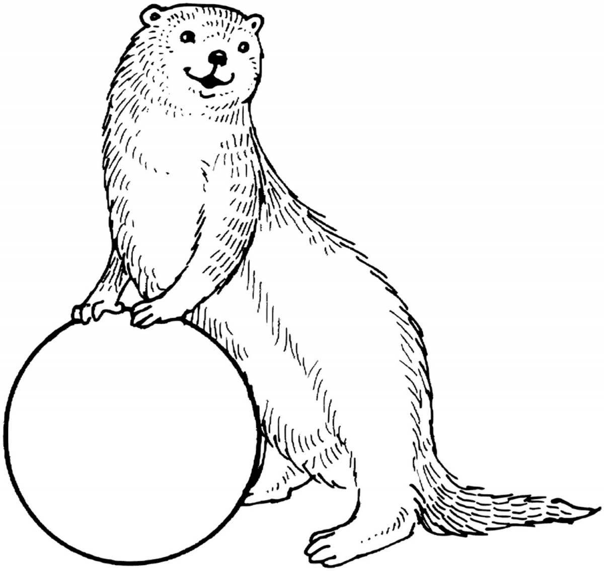 Funny ferret coloring book for kids