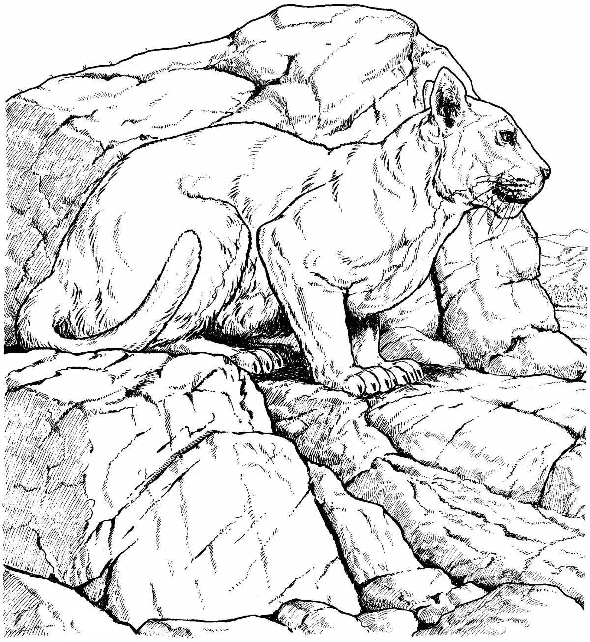 Majestic black panther coloring page