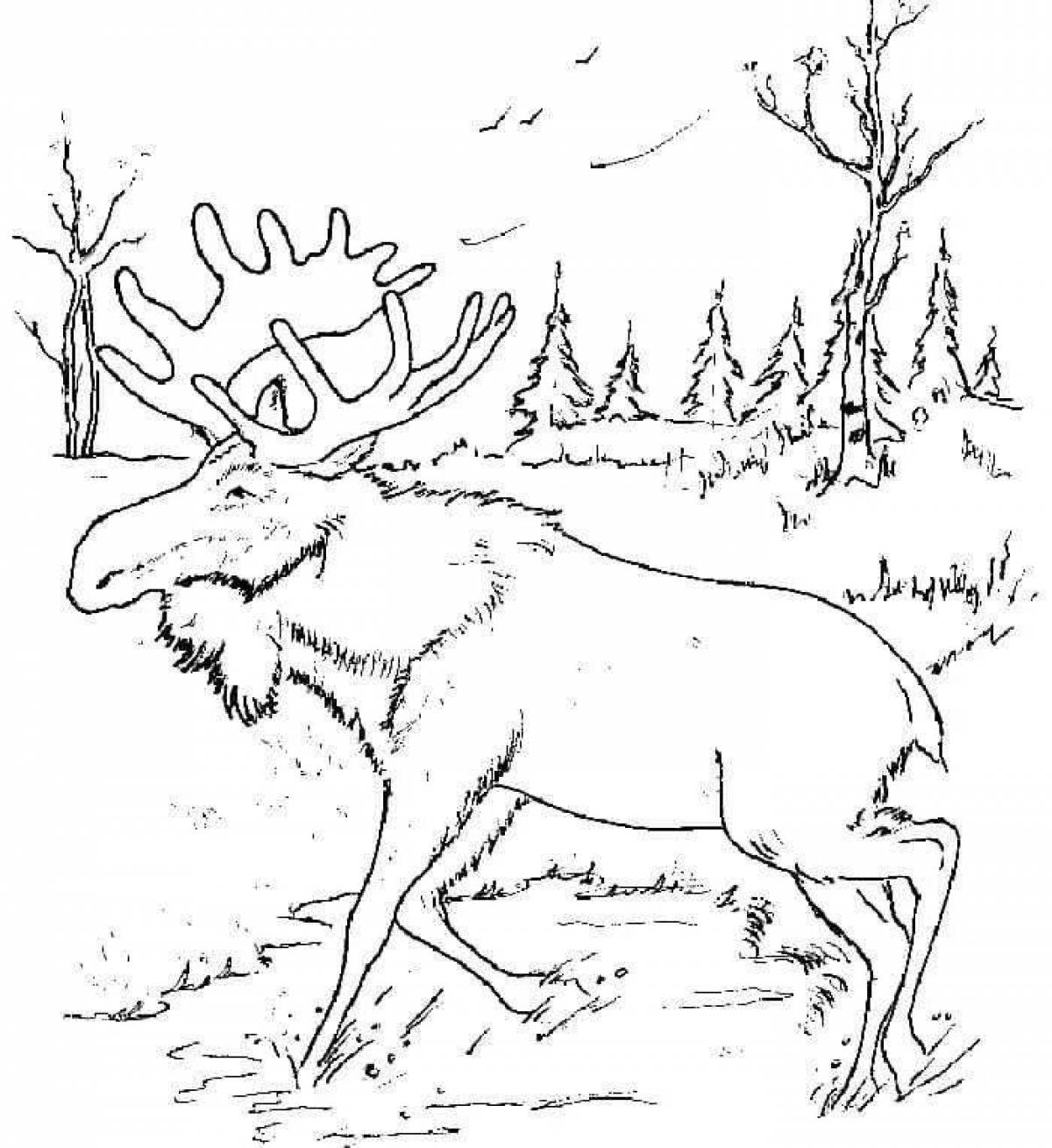 Amazing coloring pages animals in the forest in winter