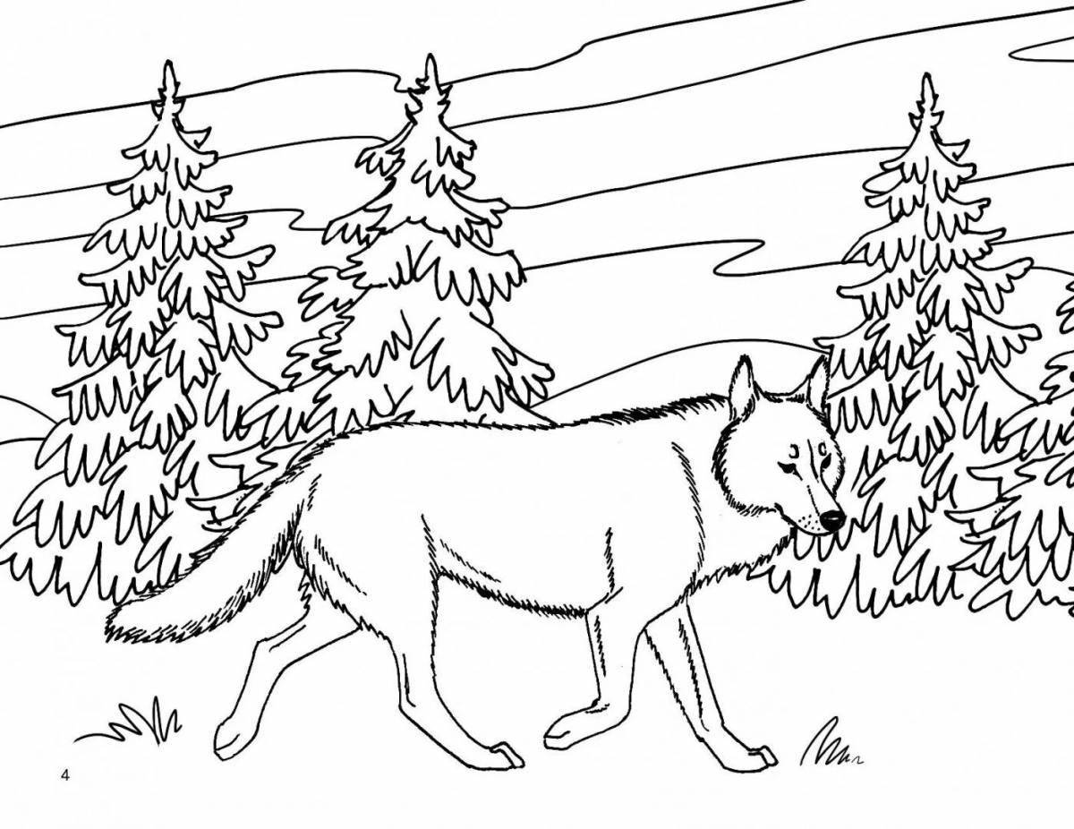 Coloring book exalted animals in the forest in winter
