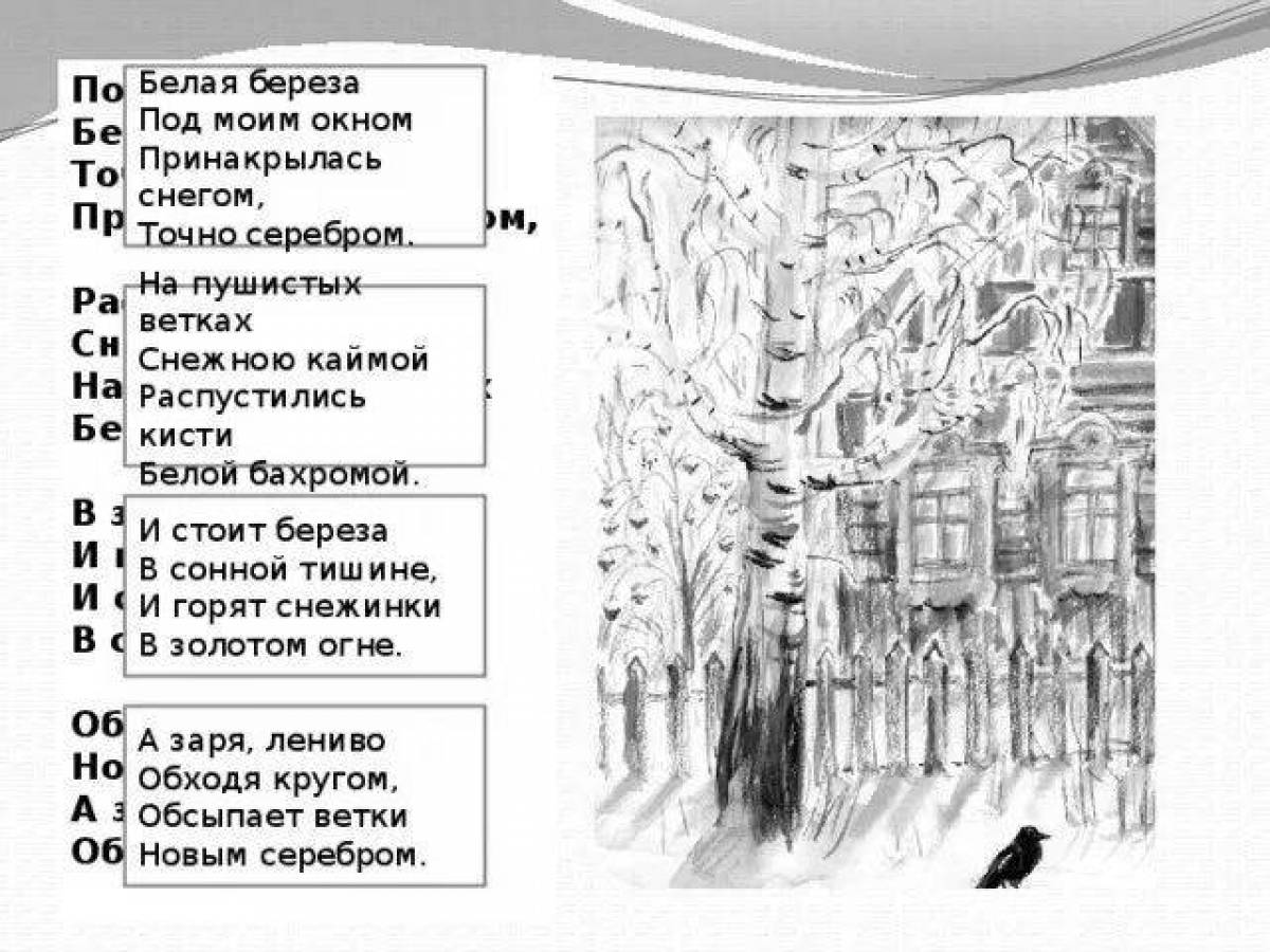 Белая под моим окном. Белая берёза под моим окном. Белая берёза под моим окном Принакрылась снегом точно. Раскраска береза под окном.