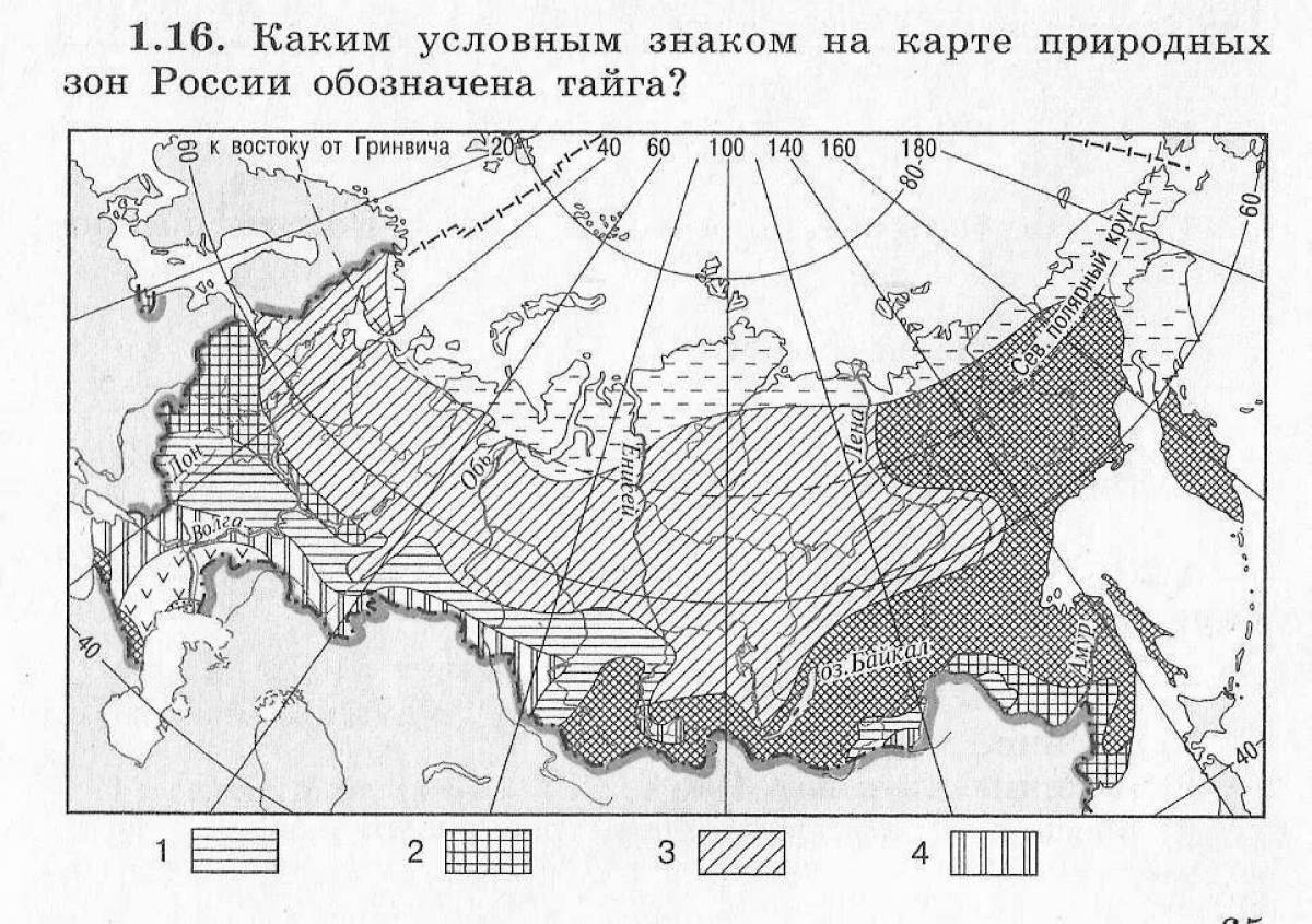 Карта природных зон раскраска