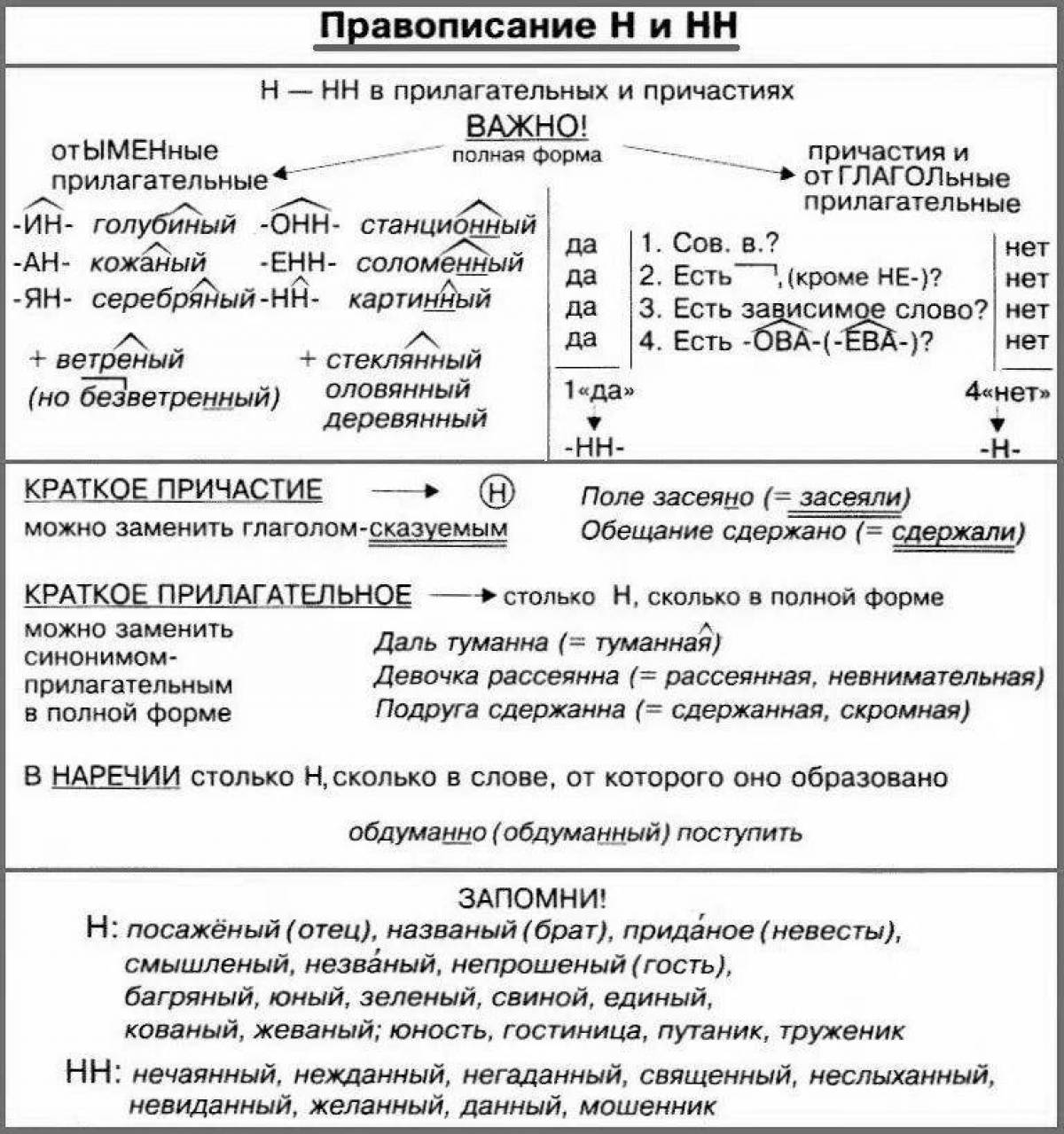 Опорная схема прилагательного. Н И НН В суффиксах разных частей речи. Правило правописания н и НН В разных частях речи. Н И НН В частях речи таблица. Правописание н и НН В суффиксах разных частей речи.