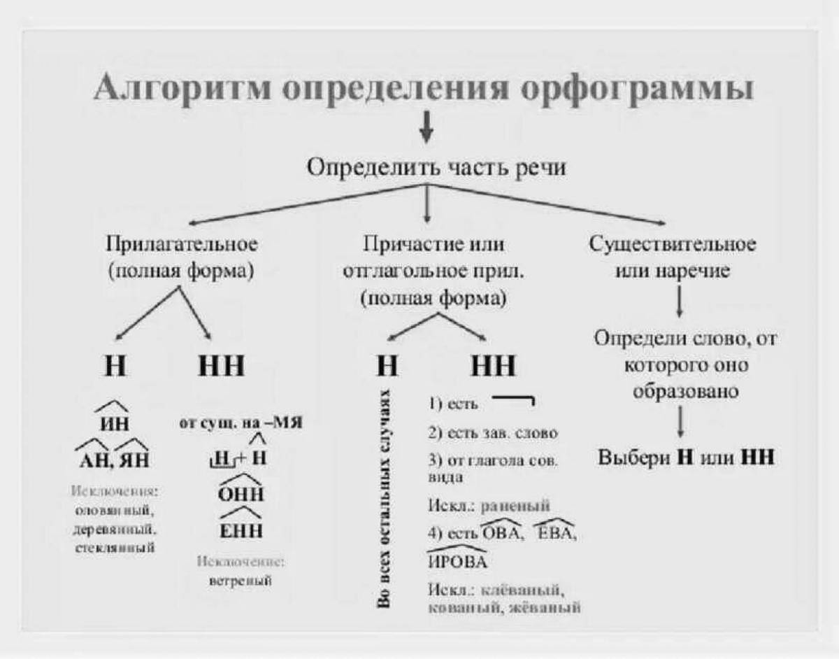Алгоритм н нн в разных частях речи. Н и нн в разных частях речи. раскраска н и нн в словах разных частей речи. н и нн в словах разных частей речи таблица. правописание нн в разных частях речи.