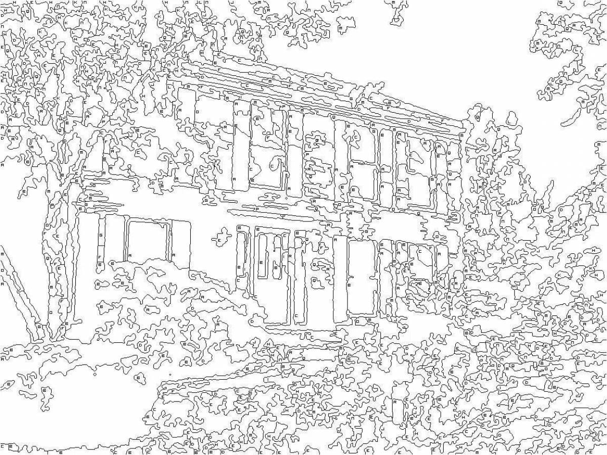 Majestic color by number black and white