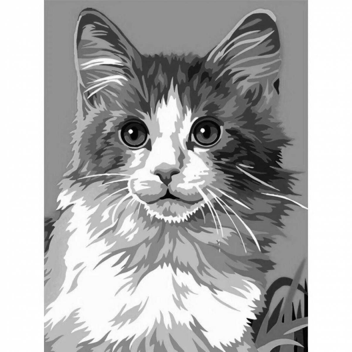 Coloring glossy ginger cat by numbers