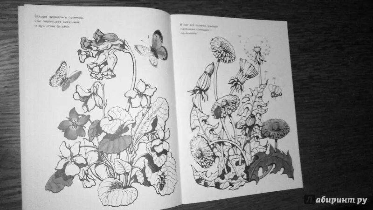 Увлекательный альбом-раскраска для детей