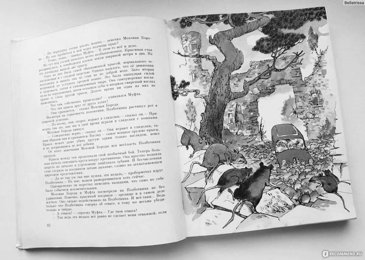 Яркая муфта полуботинок и моховая борода