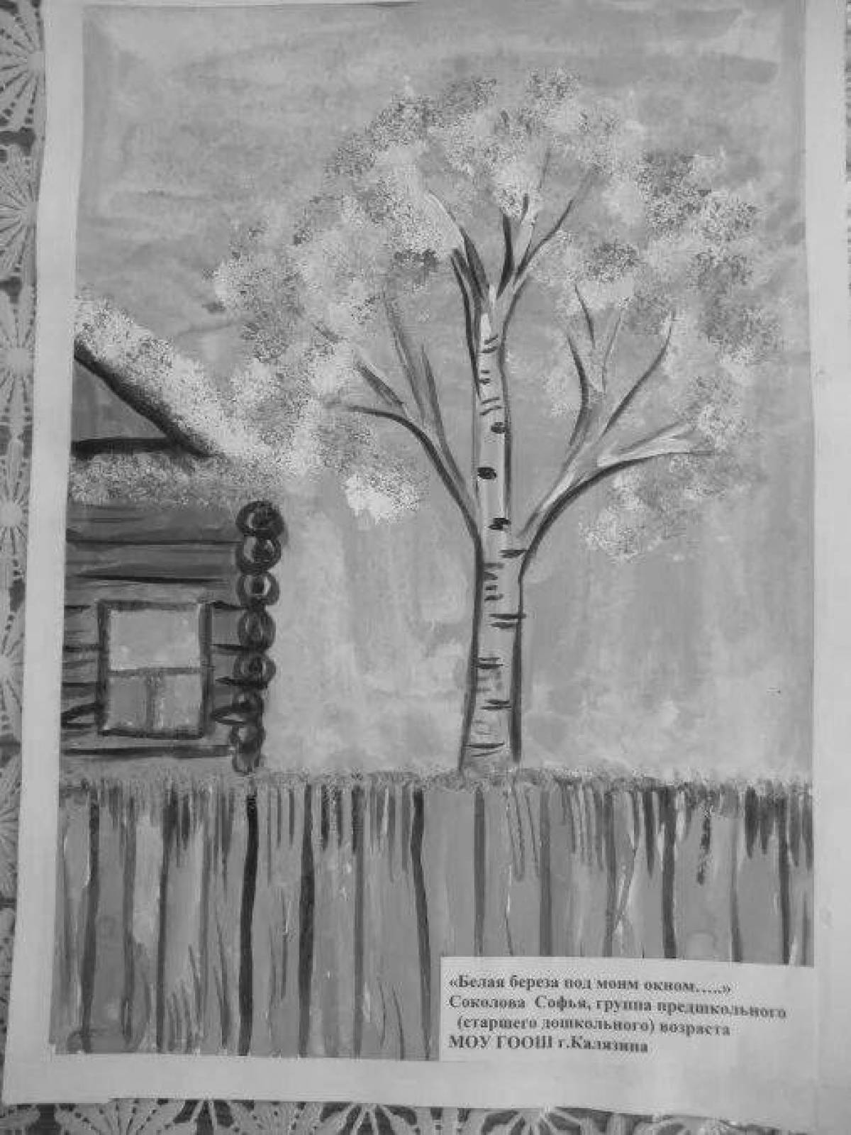 Nice white birch under my window