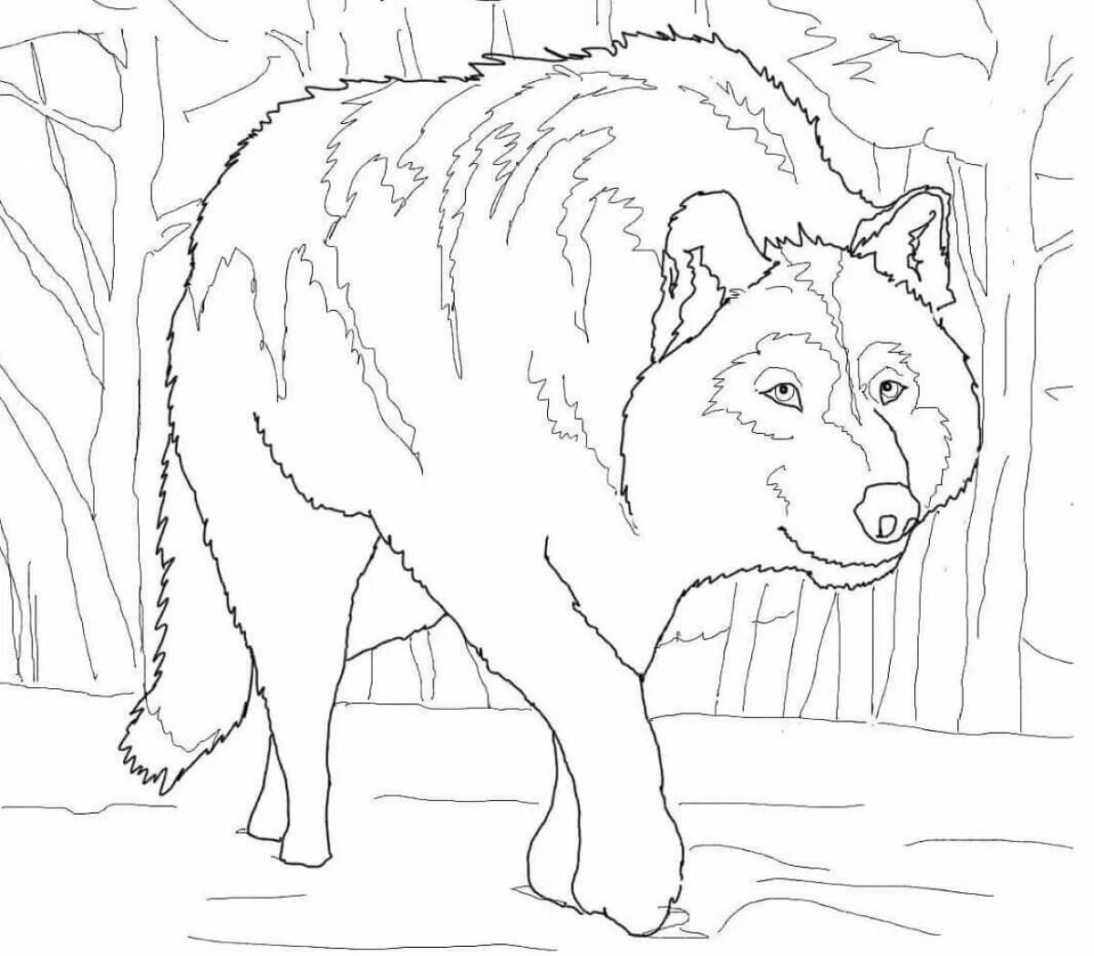 Fun coloring book for kids wild animals in winter