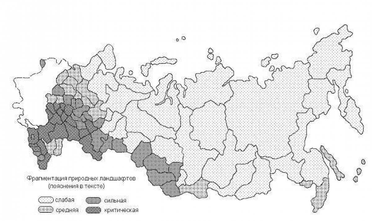 Beautiful map of Russia's natural areas Grade 4