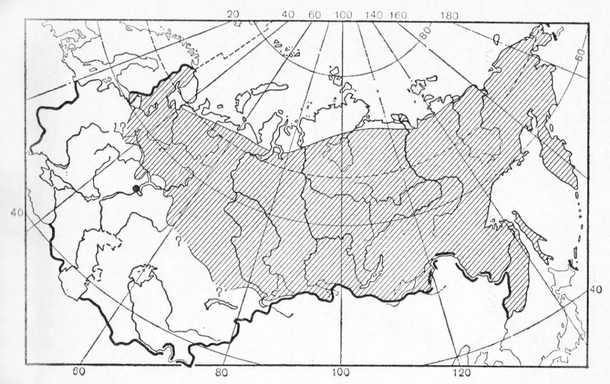 Ornamental map of Russia's natural areas Grade 4