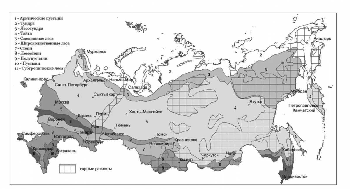 Intriguing map of Russia's natural areas Grade 4