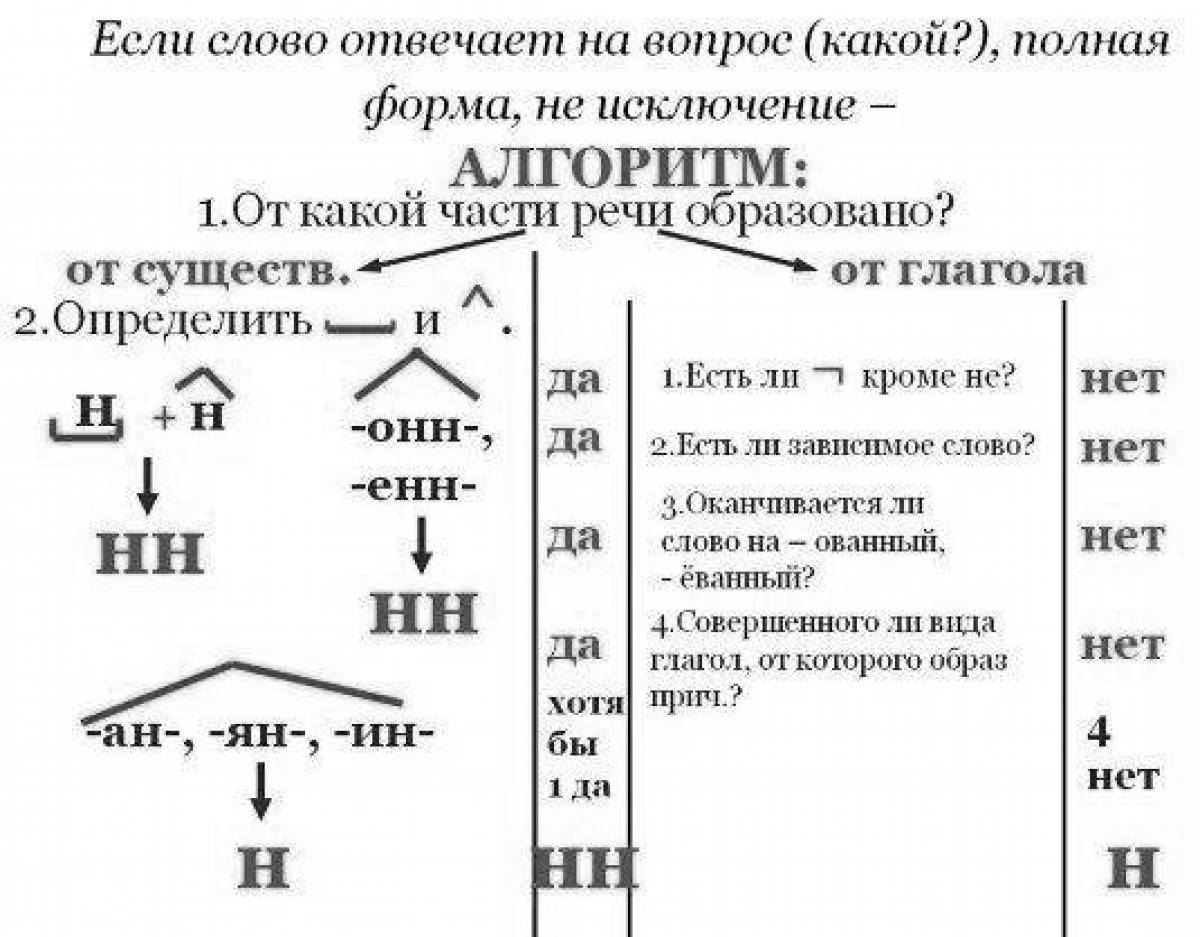 Стимулирующие раскраски n и nn