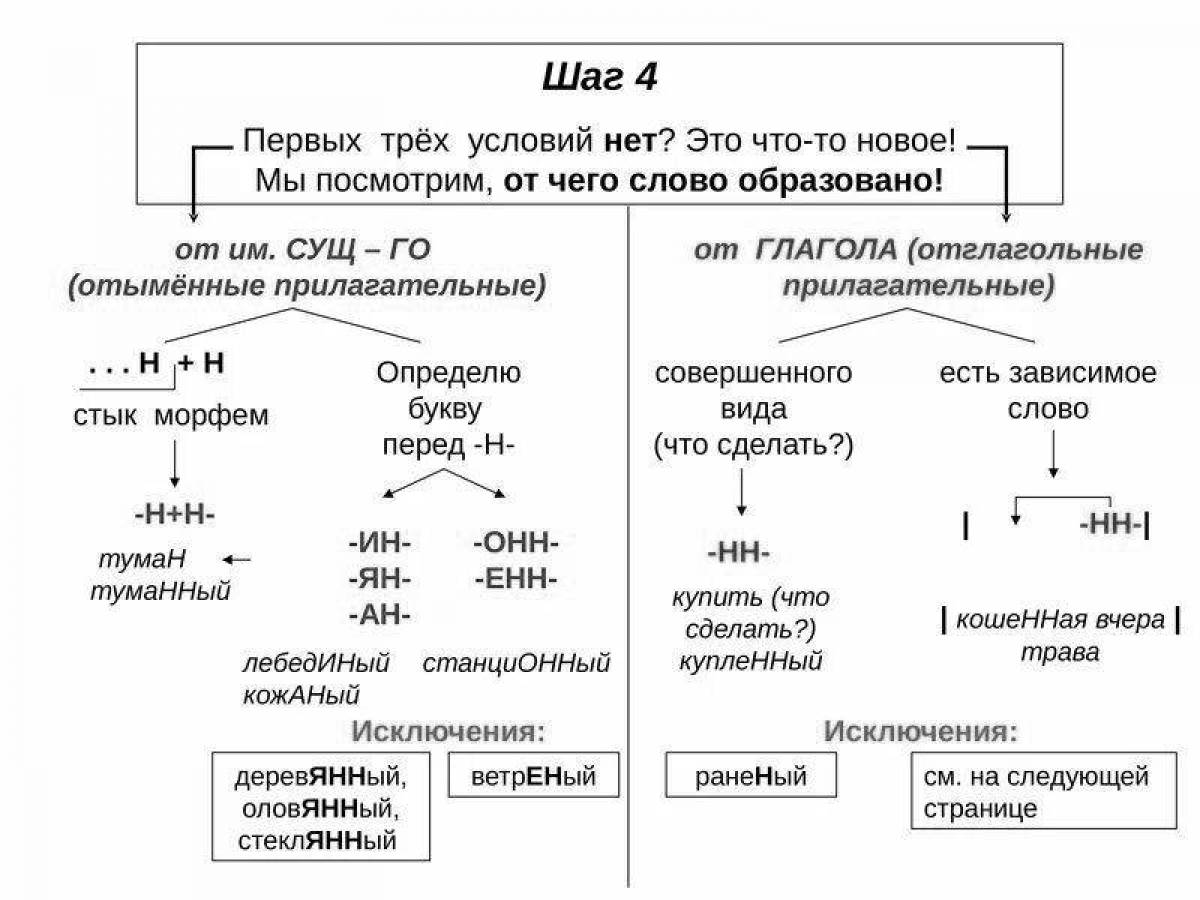 Н и нн в словах разных частей речи #4